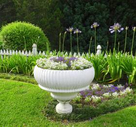 Отдых в Pousada Jardim Azul  - Бразилия, Канела