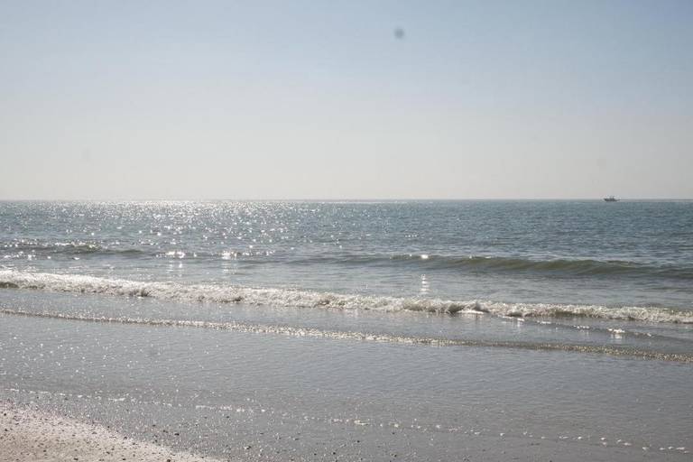 Algiers Gulf Resort 