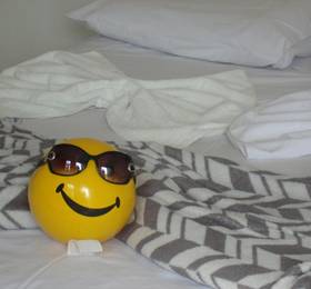 Туры в Edson Hotel Pousada  в Бразилии