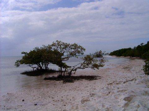 Coconut Cay Resort  3* США, Маратон