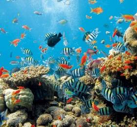 La Isla Eco Resort  в Праду