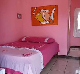 Туры в Jeri Hostel Brasil  в Бразилии