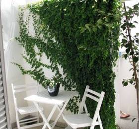 Simple & Charming  в Буэнос-Айресе