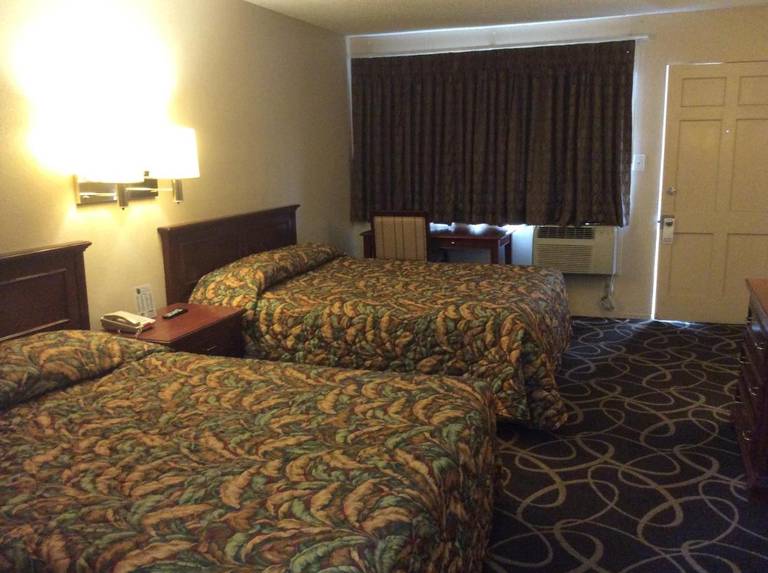 Torch Lite Lodge 