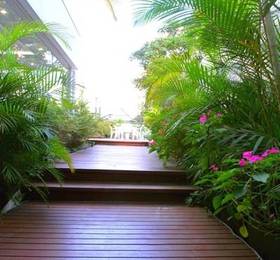 Туры в Century Paulista  в Бразилии