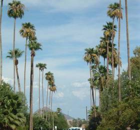 Туры в Raz Inn Phoenix  в США