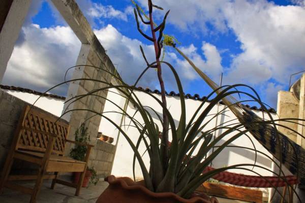 Hostal Akumal  3* Мексика, Сан-Кристобаль-де-лас-Касас