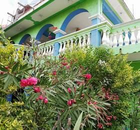 Туры в Iguana Hostel в Мексике