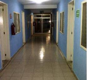 Hotel Shaddai  в Плая Дел Кармен