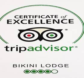 Туры в Bikini Lodge в США