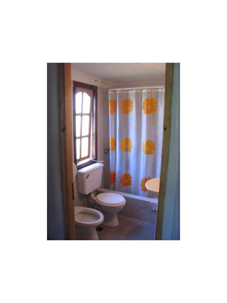 Puma Hostel 