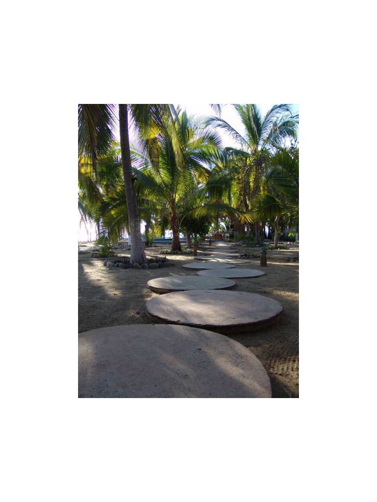 Playa Calli 