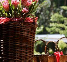 Туры в Silvermist Mountain Lodge & Wine Estate в ЮАР