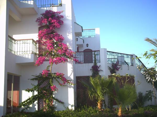 Resta Sharm Club Resort Sharm El Sheikh 4* Египет, Шарм-эль-Шейх