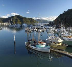 Туры в Mercure Picton - Marlborough Sounds в Новой Зеландии