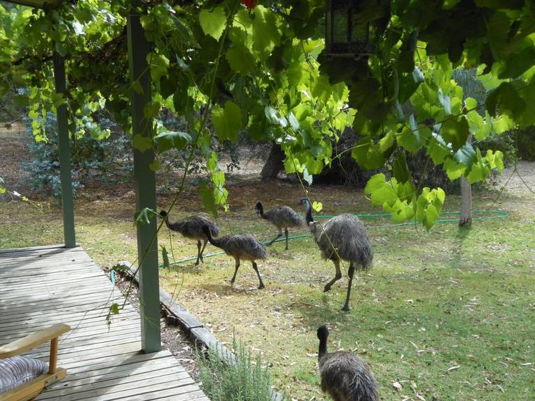 Grampians View Cottages and Units