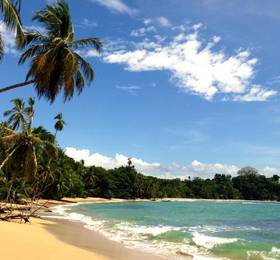 Туры в Physis Caribbean Bed & Breakfast в Коста-Рике