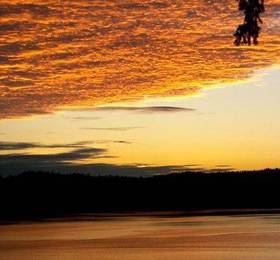 Beautiful Suncrest Cottage B&B в Ганге