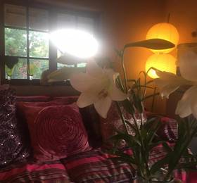 Туры в Midrand Wild Goose Guest House в ЮАР