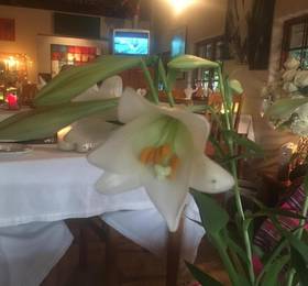 Midrand Wild Goose Guest House в Мидранде