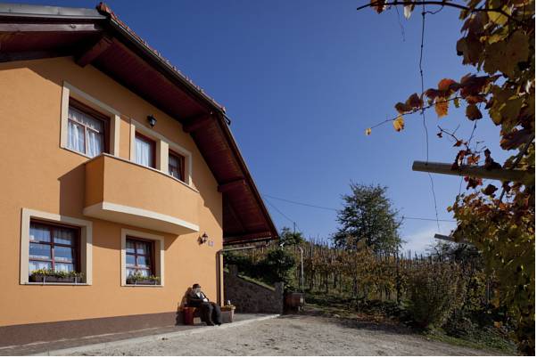 Vineyard Cottages Dolenjska I