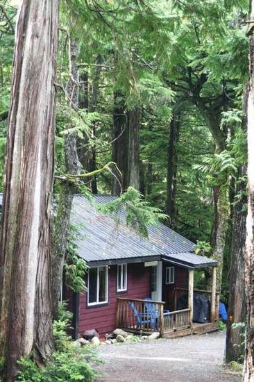 Surfs Inn Rainforest Cottages Канада, Юклулет