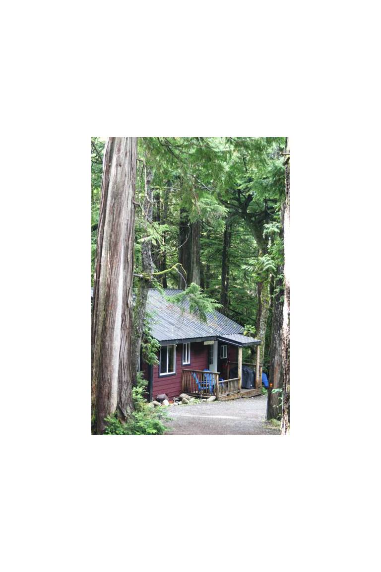 Surfs Inn Rainforest Cottages