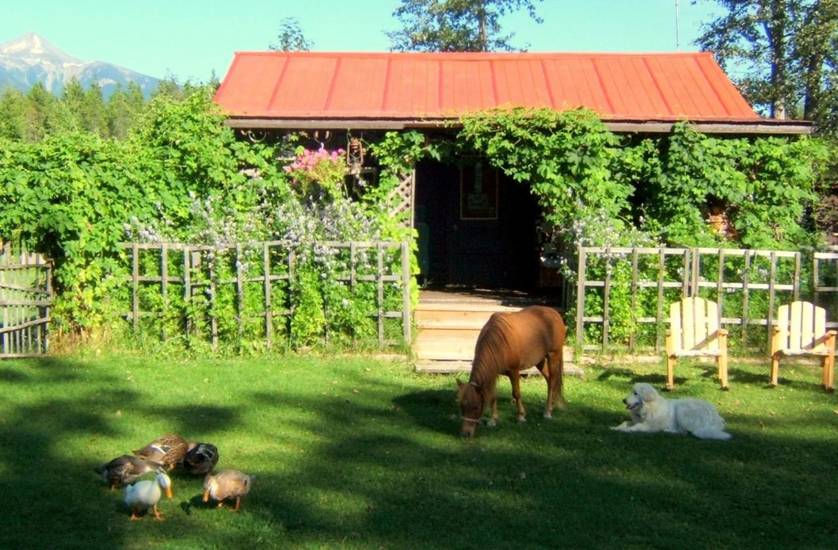 Teepee Meadows Guest Cottages Канада, Вейлмаунт
