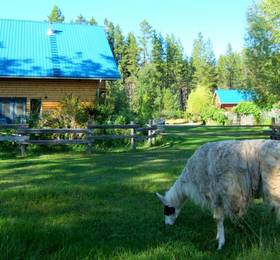 Туры в Teepee Meadows Guest Cottages в Канаде