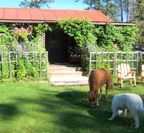 Отдых в Teepee Meadows Guest Cottages - Канада, Вейлмаунт