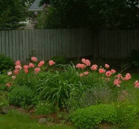 Elizabeth's Bed and Breakfast в Шарлоттауне
