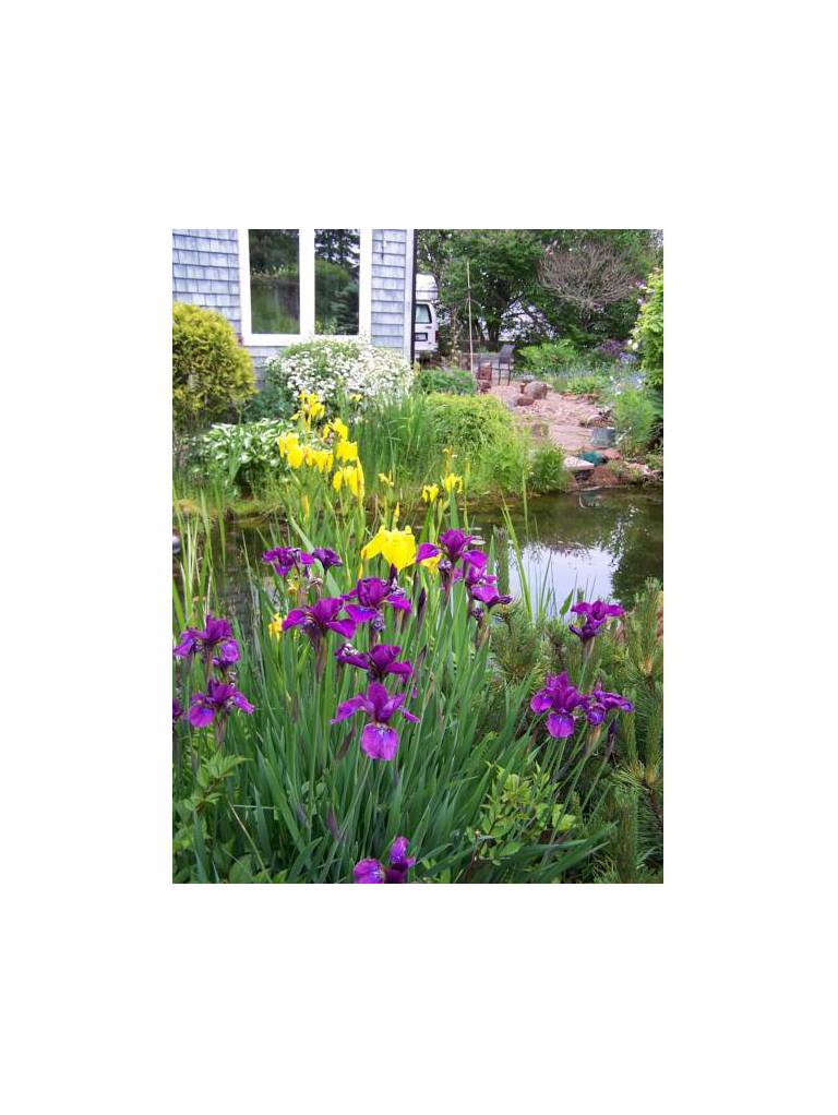 The Trailside Bed & Breakfast