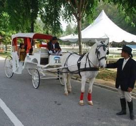 Отдых в Terengganu Equestrian Resort - Малайзия, Куала-Тренгану