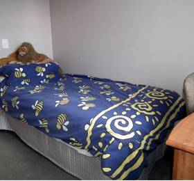 Туры в Empty Nest Bed & Breakfast в Новой Зеландии