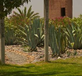 Отдых в La Parenthese de Marrakech - Марокко, Тамелот