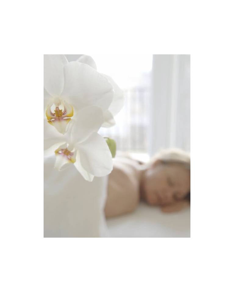 Hotel & Spa Mont Gabriel