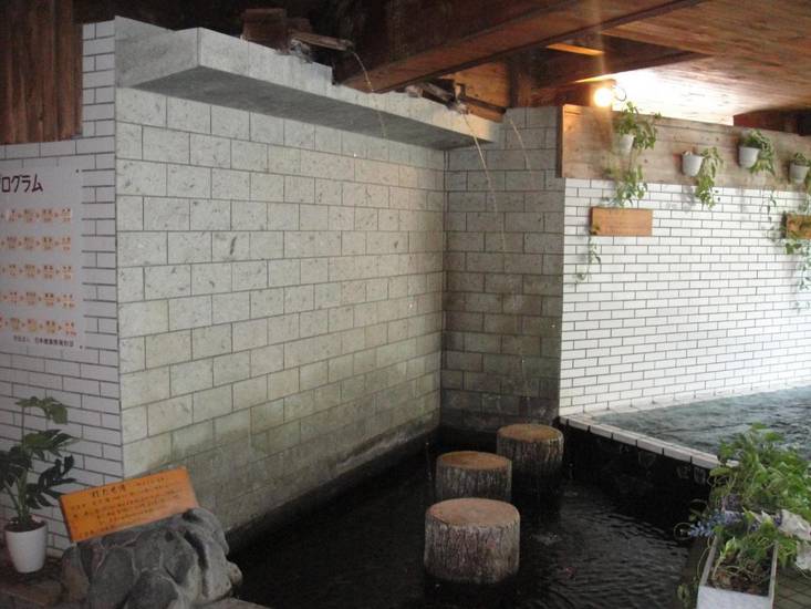 Kurhaus Ishibashi Ryokan 3* Япония, Симода