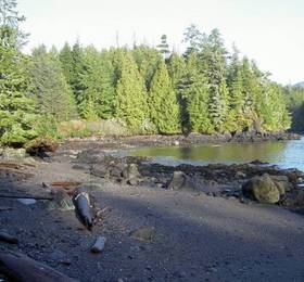 Ebb Tide Bed & Breakfast в Юклулете