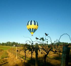 Lovedale Balloon Cottage в Лавдейле