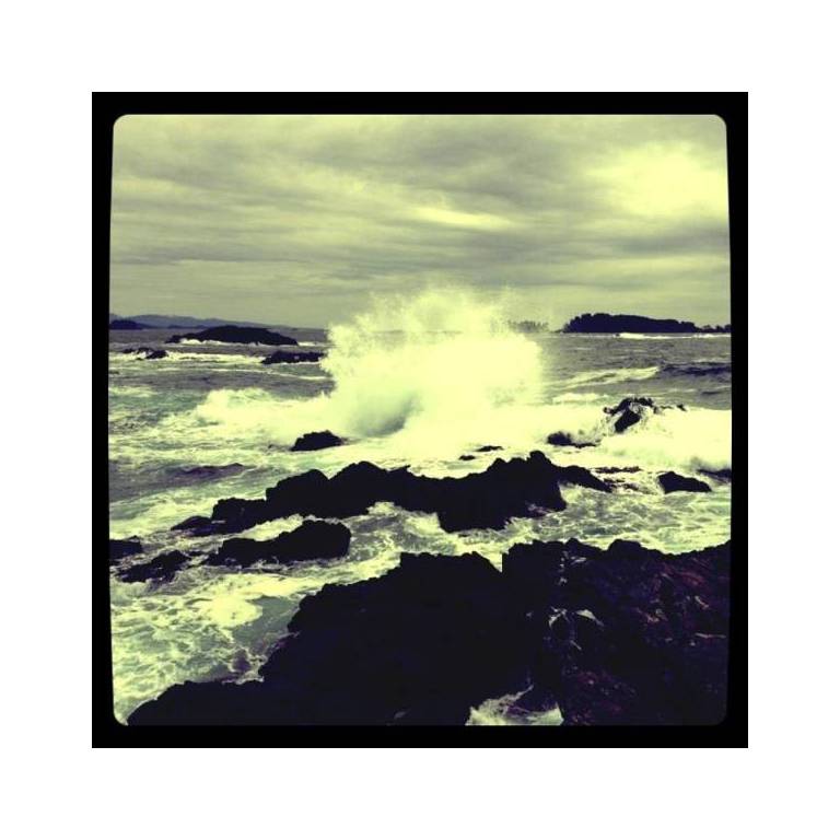 Wild Shores Guest House