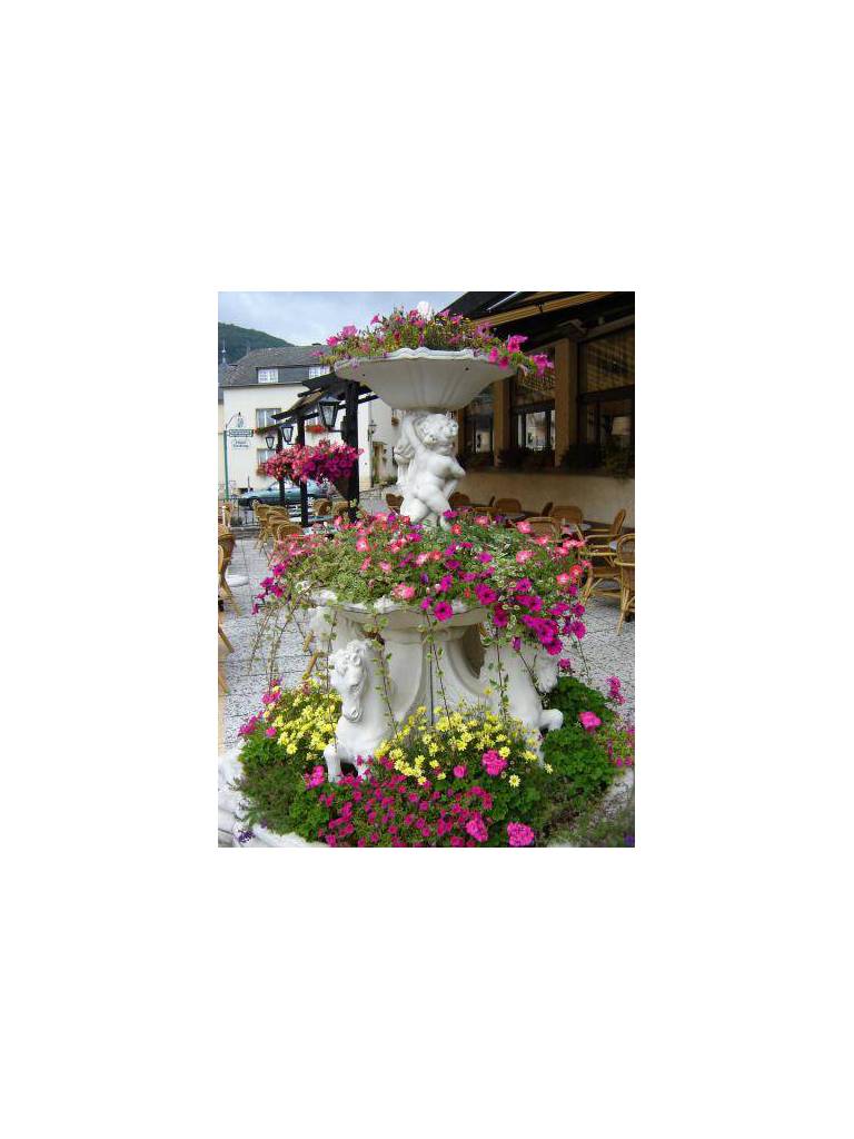 Grand Hotel de Vianden