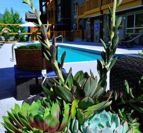 Туры в Pemberton Valley Lodge в Канаде