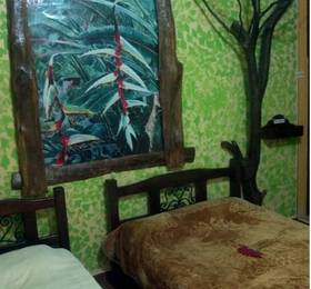 Туры в Finca Hotel Araguaney в Колумбии