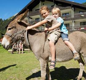 Familienhotel Gorfion в Тризенберге