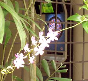 Hostal Entre 2 Aguas в Панаме-Сити