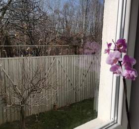 Отдых в Casa File de Poveste - Румыния, Тыргу-Жиу