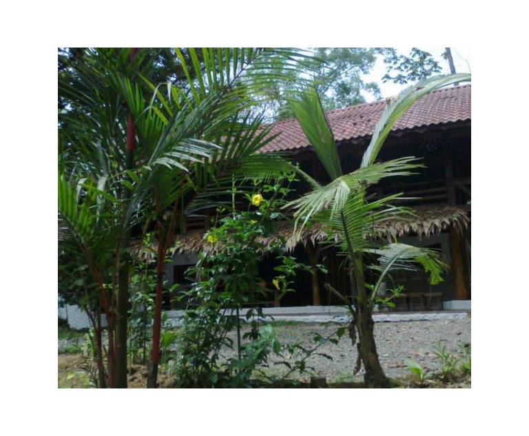 Cabinas Sax's Caribe