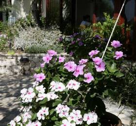 Туры в Diva Residence Hotel в Турции