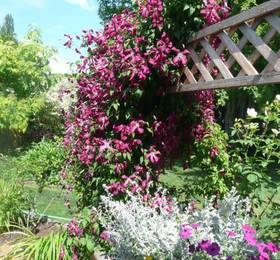 Туры в Antiques and Gardens в Канаде