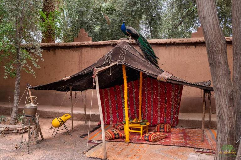 Bivouac La Palmeraie